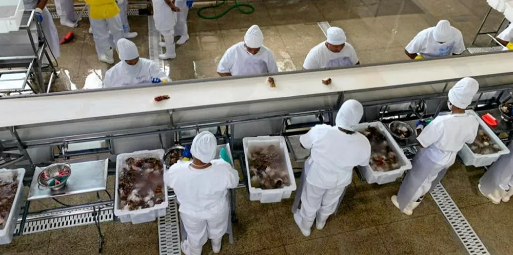 Seafood investments worth $36 million slated for Brazil's northeast. Prime Seafood.