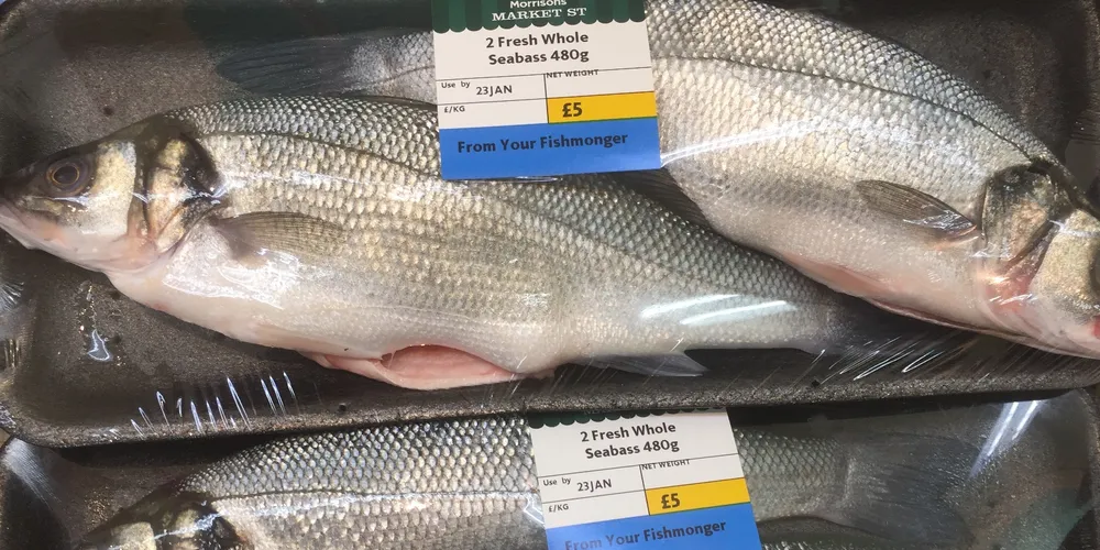 Chilled category leads rise in UK seafood sales in 2016