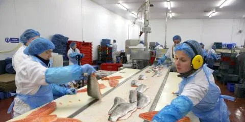 Dawnfresh widens losses on 'transitional' year