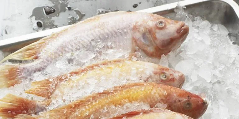 Chinese processor: Shrimp, crab challenges will continue this year