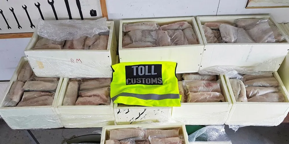 Fiskebeslag på 311 kilo gjort på grenseovergangen Kivilompolo i Finnmark. Det største enkeltbeslaget første halvår 2017.Foto: Tollregion Nord-Norge