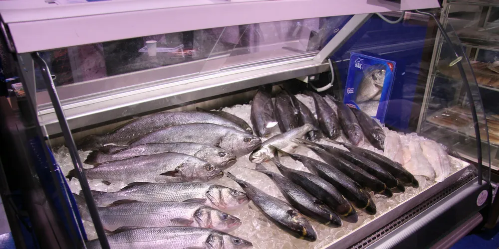 Croatian group targets Russia, US for its eco-friendly farmed seabass