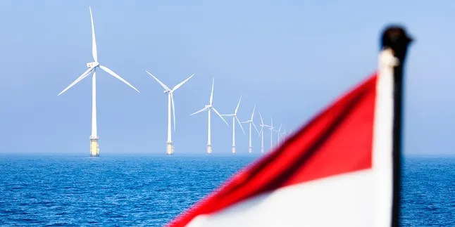 Dutch receive 26 bids for Borssele 3&amp;4 offshore zones