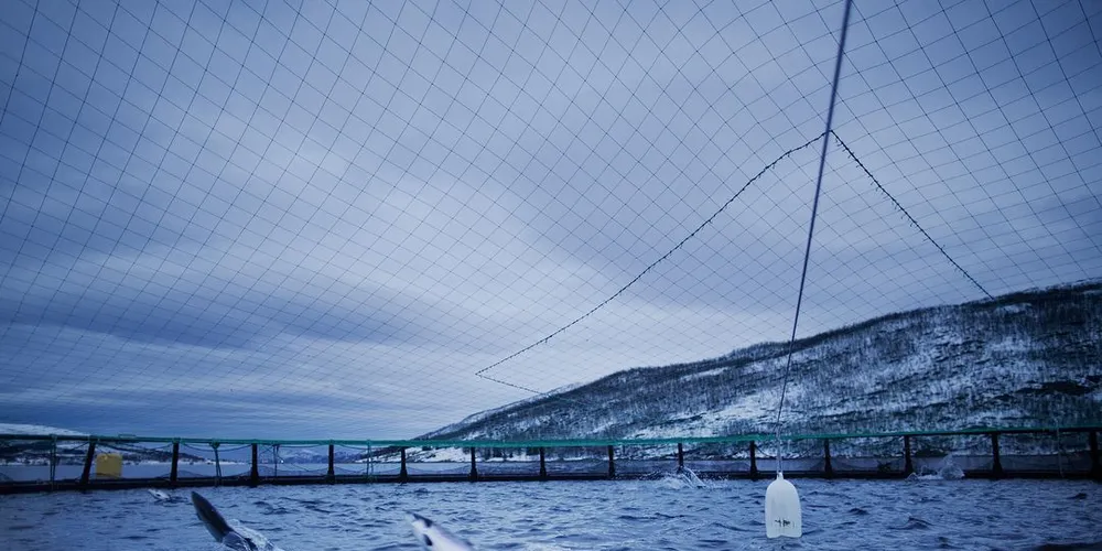 Havforskningsinstituttet legger frem risikorapporten for oppdrettsnæringen i dag. Foto: Linda Næsfeldt, DN