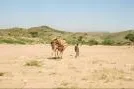 New play: Ethiopia