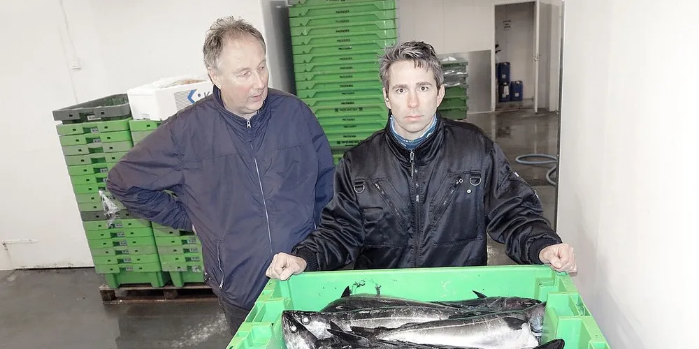 Onar Myhre og Harald Bredahl i K-Fisk på Karmøy mener de ikke har gjort noe ulovlig når de har kjøpt fisk og reker fra Egersund. Arkivfoto: Nils Torsvik