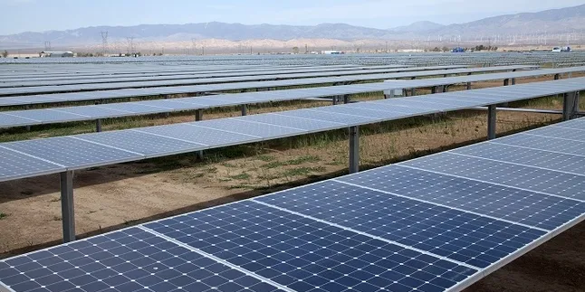 US trade group SEPA swaps out 'solar' from its name