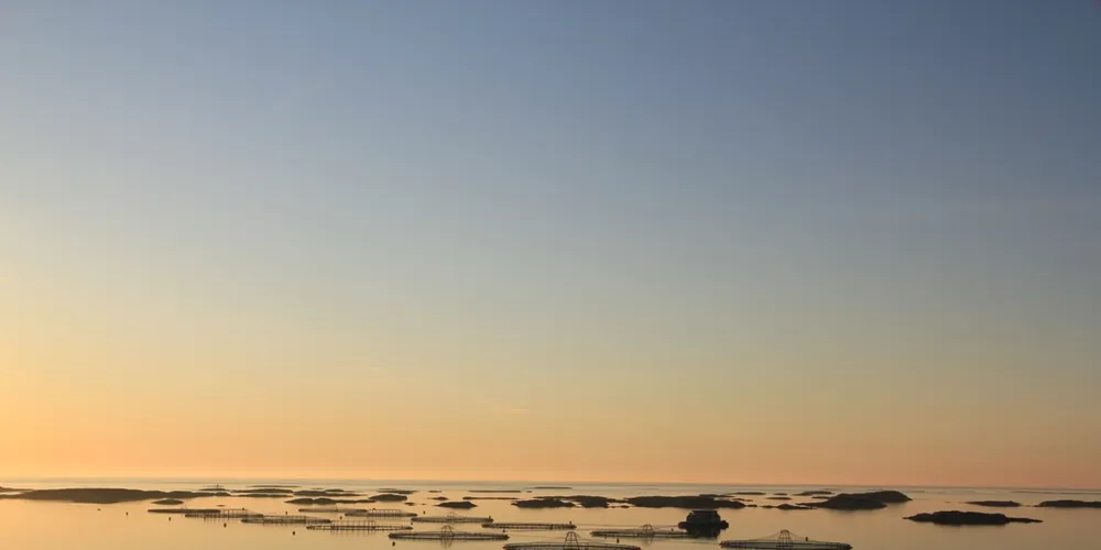 Marine Harvests lokalitet Grøttingsøya utenfor Frøya.