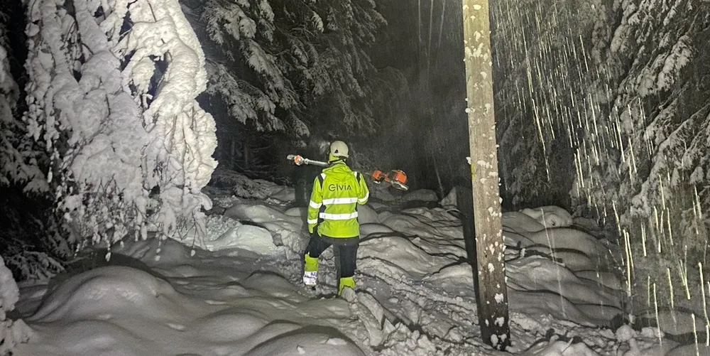 Tung snø og kraftig vind har forårsaket strømbrudd i både Agder og Innlandet i natt.