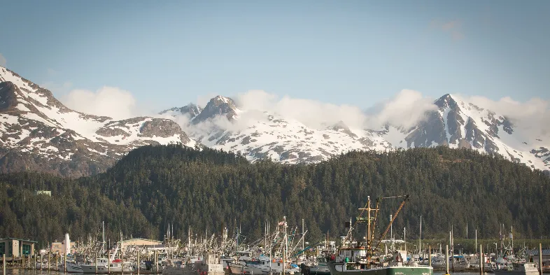 Copper River Salmon/Prince William Sound