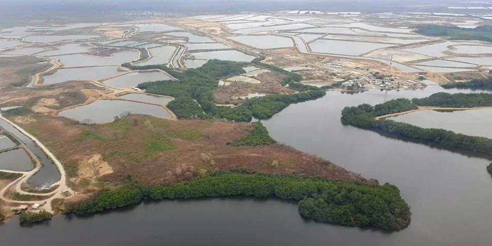 Ecuador's shrimp industry has seen stunning growth but observers fear this cannot continue indefinitely without changes to the current production model.