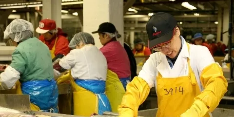 Italy can’t get enough wild salmon