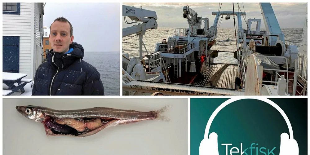 Forsker Kjell Rong Utne ved Havforskningsinstituttet var nylig på loddetokt utenfor Island.