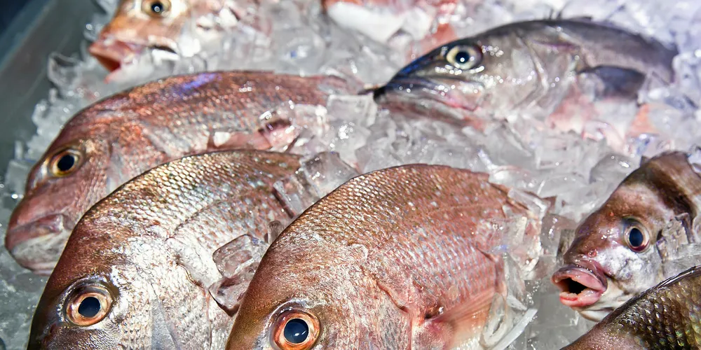 Fish International takes place from Feb. 25 through to Feb. 27 in Bremen, Germany.