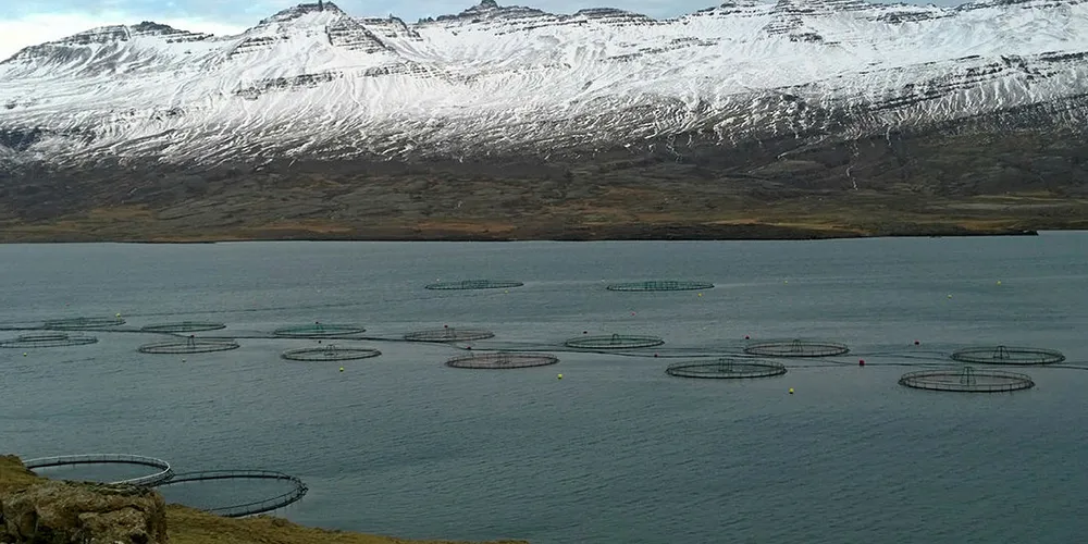 A fish farm in Djúpivogur, Sudur-Mulasysla, Iceland.