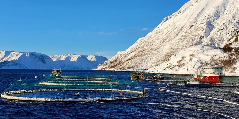 Bilde av Davatluft - Grieg Seafood.