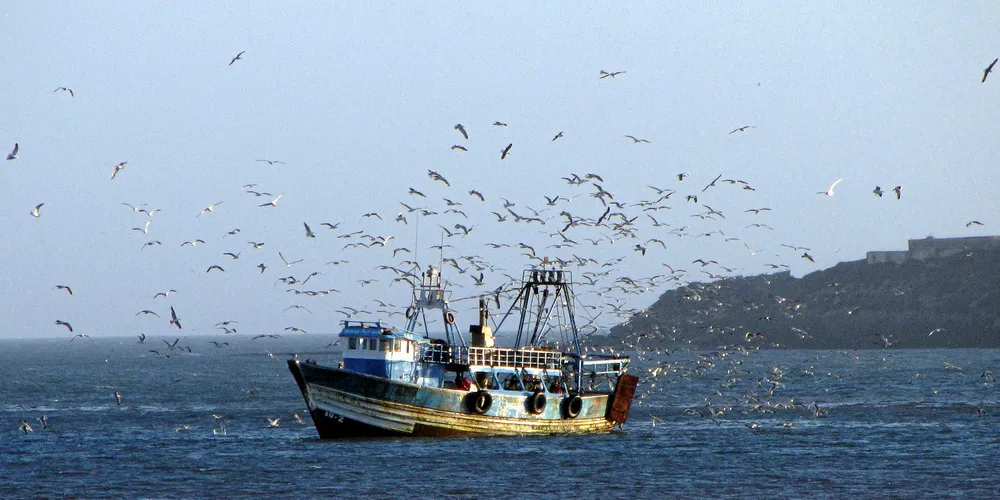 Sardine Boat - Essaouira, Morocco