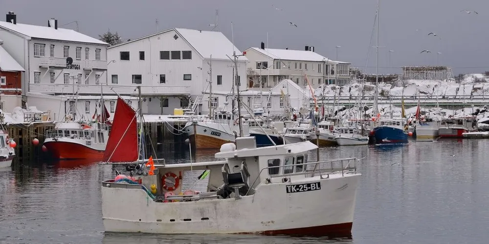Det ble hektiske dager for Telemark-sjarken «Santos» under innspurten på årets Åpen gruppe-fiske. Foto: Frode Adolfsen
