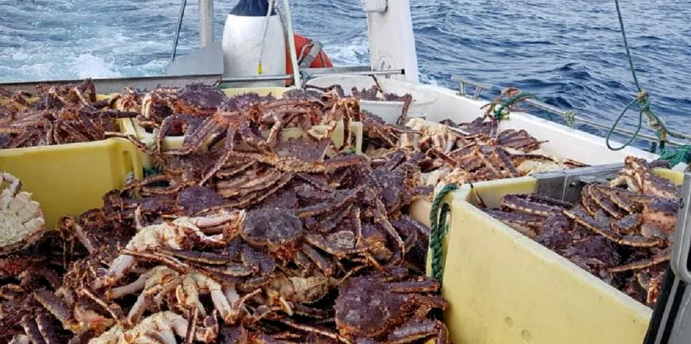 Mannen er tiltalt for ulovlig fangst og svart omsetning av store mengder kongekrabbe og kongekrabbeklør.