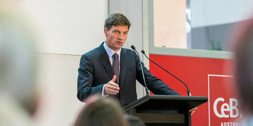 Angus Taylor was branded Australia's most anti-renewables energy minister ever.