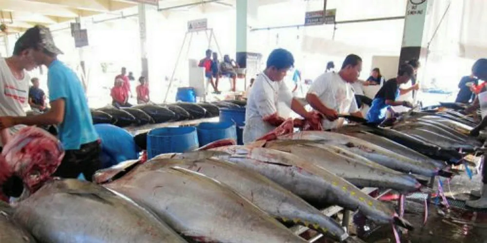 Workers clean tunas for export at the fish port in General Santos City, in the southern Philippine island of Mindanao.