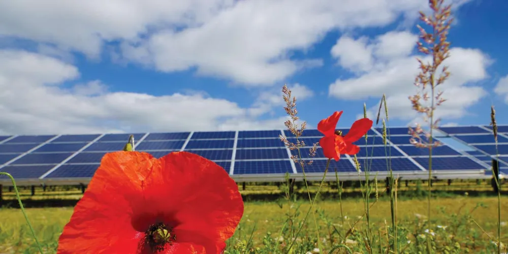 EPIA to be reborn as SolarPower Europe to reflect wider view