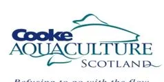 Cooke Aquaculture UK still on the acquisition hunt as earnings soar