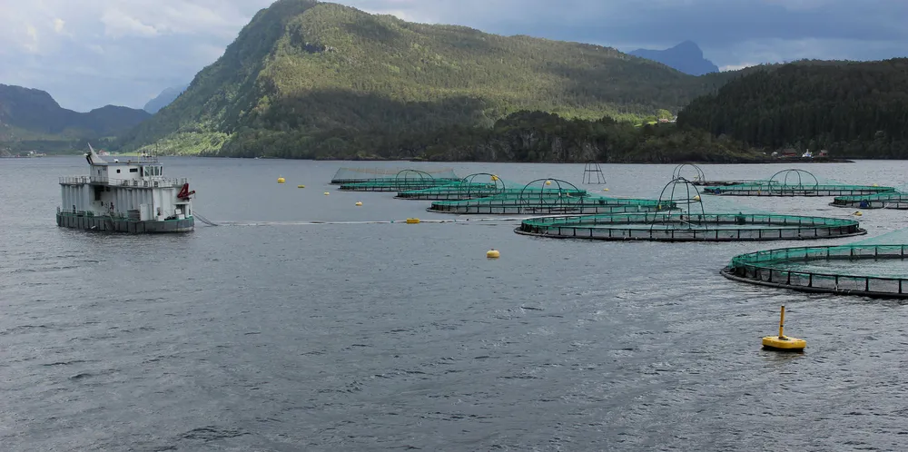 Illustrasjonsfoto: Steinvik Fiskefarm sin lokalitet Kalvelandet utenfor Florø i Sogn og Fjordane.