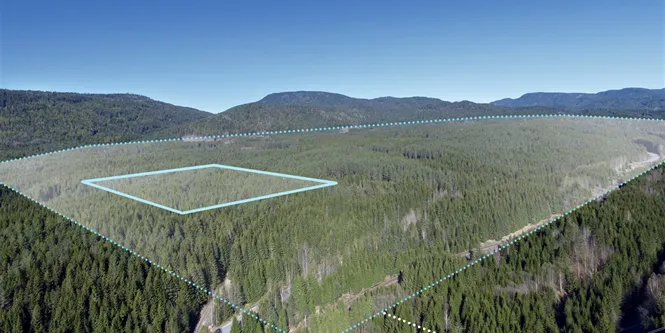 Google har kjøpt kjempetomt i Skien
