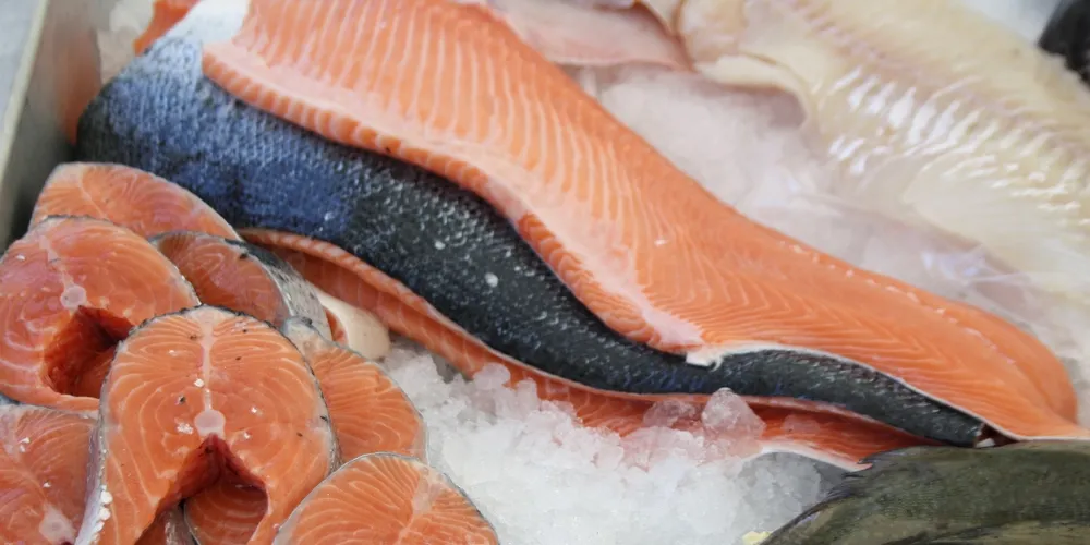 Norwegian salmon prices: Exporters bleed while farmers party