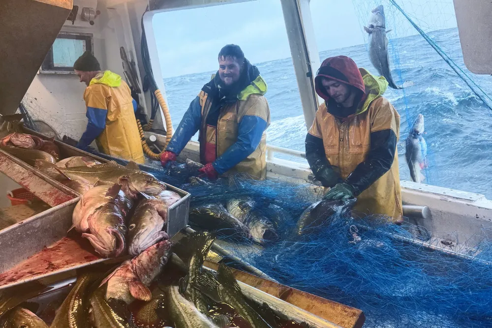 «Bakkeværing» fra Rørvik var i mål med torskekvoten i forrige måned for 2025. Skipper Rune Morten Bakke har med seg tre sønner og én nevø for å få til det. Her med mellomste sønn Kim Rune og nevøen Kristoffer.