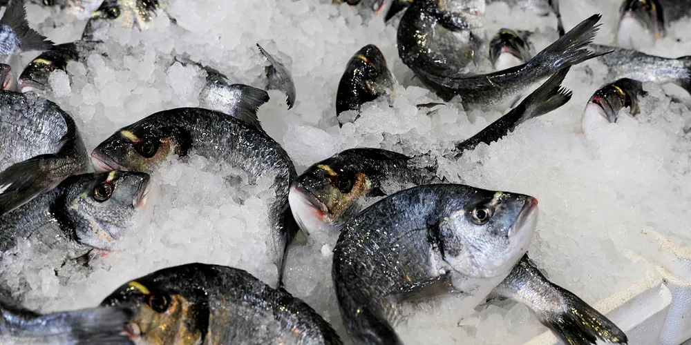Sea bass should be ASC-certified within the year.