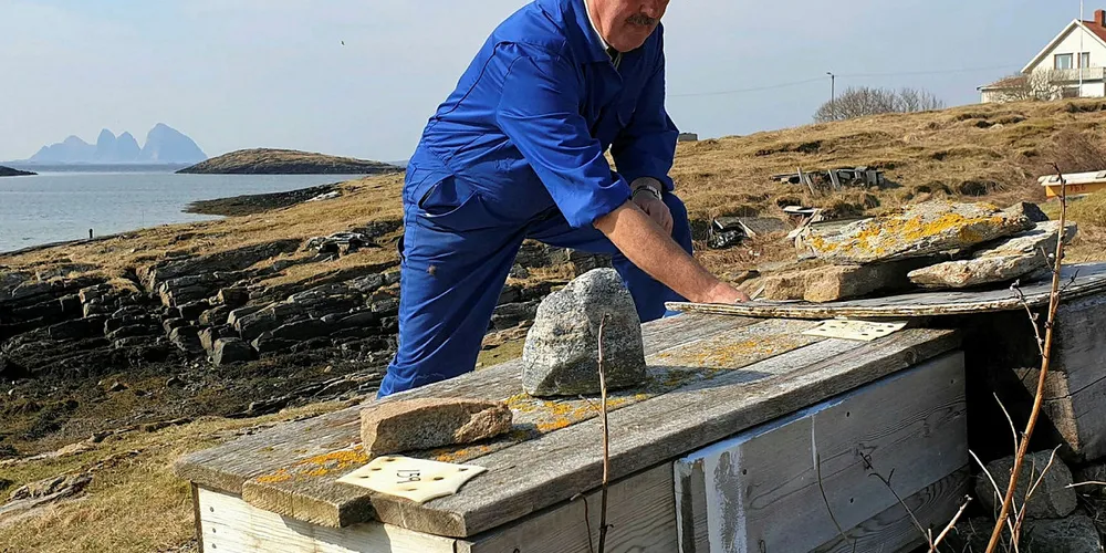 MED HJERTE FOR ÆRFUGL: Eivind Hansen har vært fisker i alle år, men i mai og juni er det sikker landligge for han. Da må fiskeren nemlig være på plass for å passe på ærfuglene som hekker i hans hundrevis av ærfuglhus.