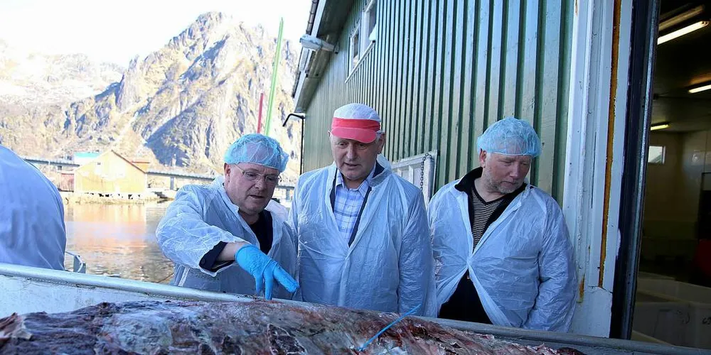 INSPISERR FANGSTEN: Fiskeriministeren sammen med leder i Norges Småkvalfangerlag, Truls Soløy, og skipper på «Reinebuen» Bjørn Andersen sjekker hvalkvaliteten..Foto: Silje Helene Nilsen