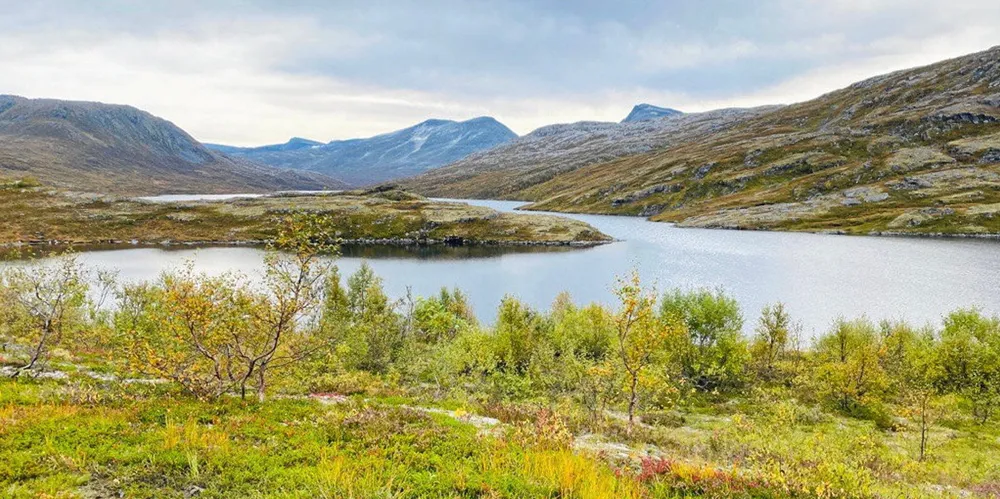 TrønderEnergi ble ilagt overtredelsesgebyr fra NVE for å ha senket vannstanden for mye i Tovatna (bildet).