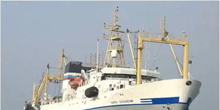 Russia likely to cancel quota system for Bering Sea pollock