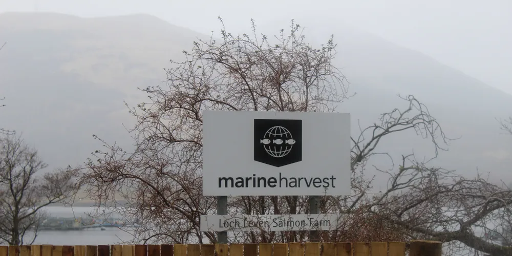 Marine Harvest's Loch Leven farm