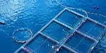 Faroe Islands targets 40,000 tons of salmon production