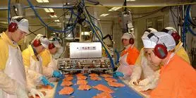 Norwegian fish processors big losers in failed WTO talks