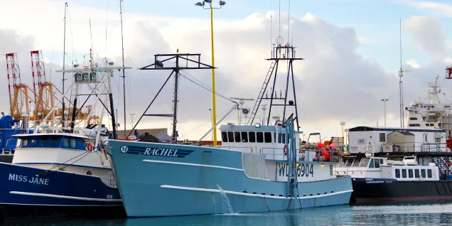 New app 'gamechanger' for tuna fisheries