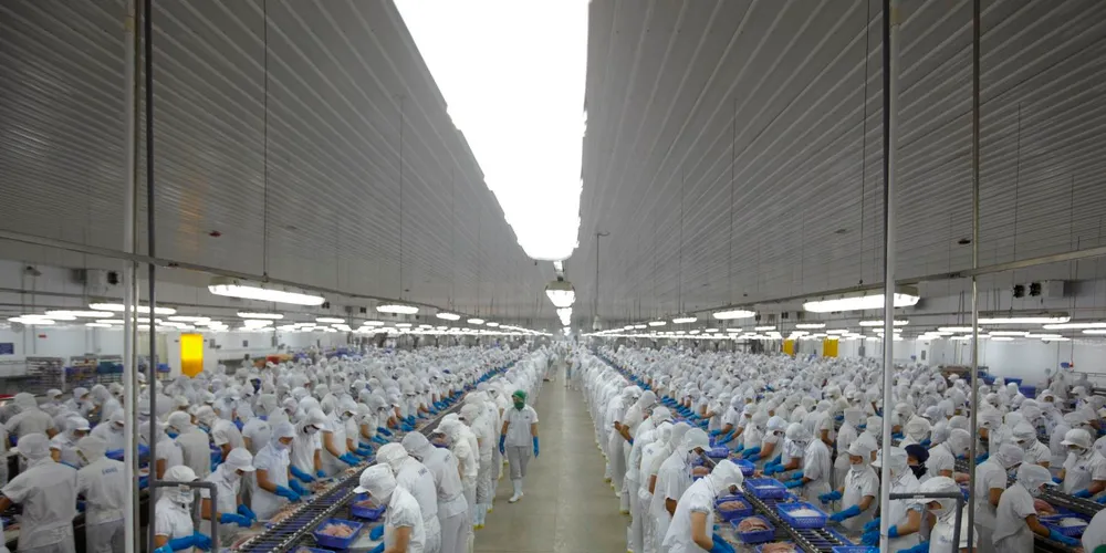Vinh Hoan hopes for pangasius recovery in Europe