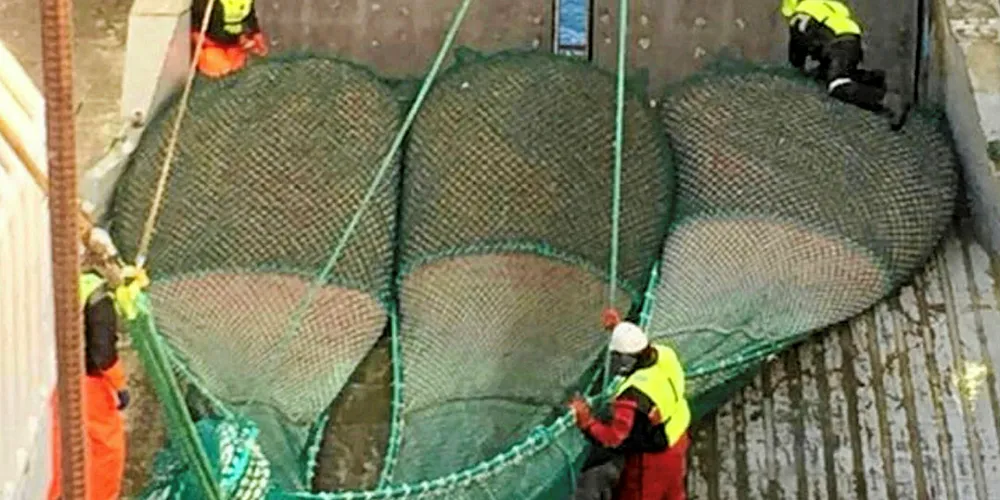 REKER: Havfisks tråler «Nordtind» på rekefisket i Barentshavet.