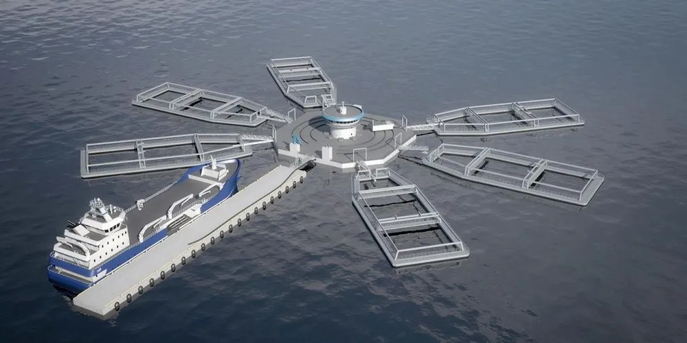 Havkar har søkt seks utviklingstillatelser til konseptet Aqua Terminal. Illustrasjon: Salt Ship Design