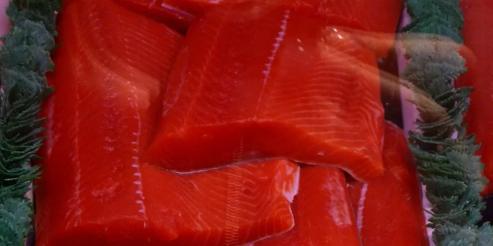 Surprise bump in Bristol Bay sockeye harvest