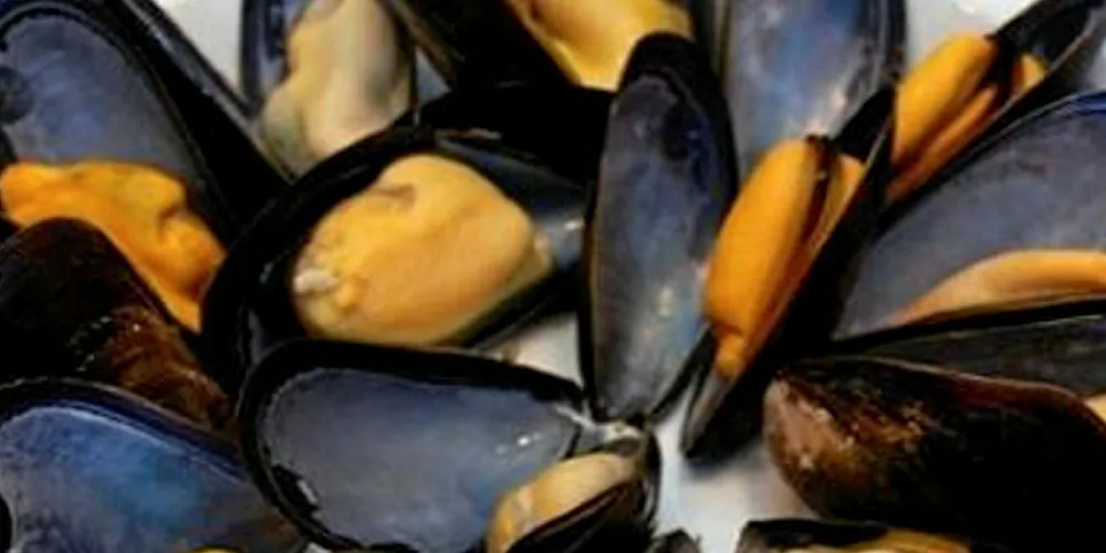 CleanFish is suing Sims over its former mussel supplier, Island Sea Farms.