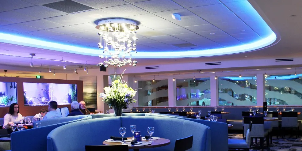 Seafood happy hour key to remaking of Reel Seafood restaurant