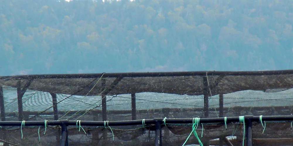 A Cooke Aquaculture salmon farm in the Bay of Fundy