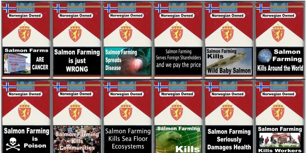 New NGO launches ‘Salmon Farming Kills’ campaign