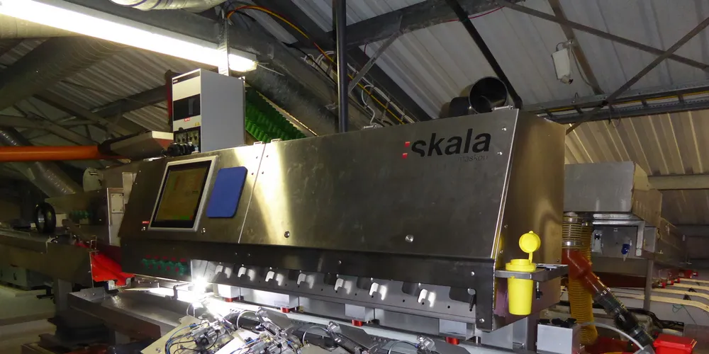 Norwegian smolt producer's profit jump despite lower sales