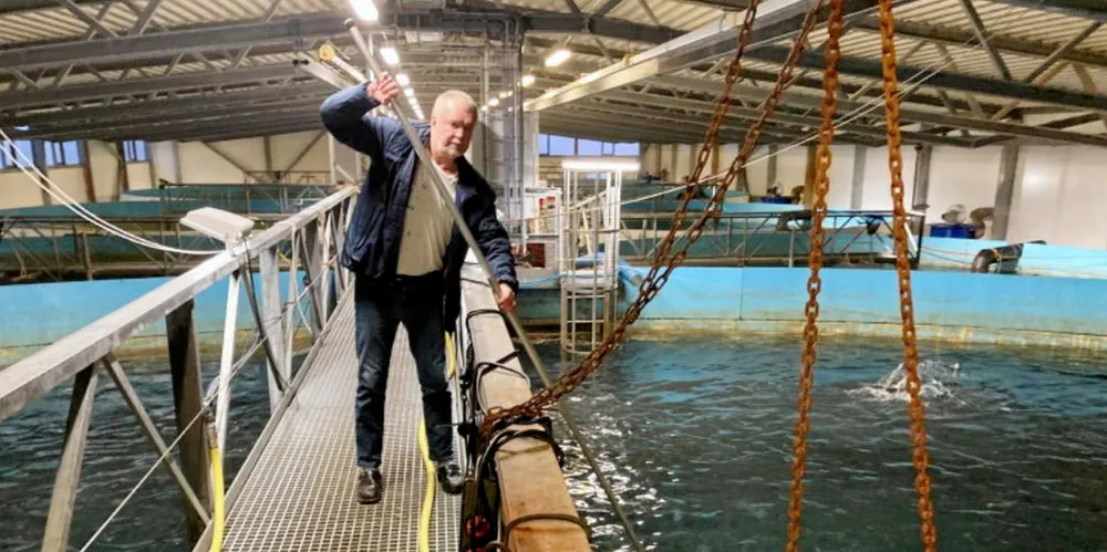 Ottar Vartdal (63) og Vartdal Gruppen som han nå selger, produserer postsmolt (stor settefisk) i et anlegg på land hvor ferskt sjøvann strømmer gjennom. Fisken på bildet er rundt 800 gram, og skal snart settes ut i sjøen.